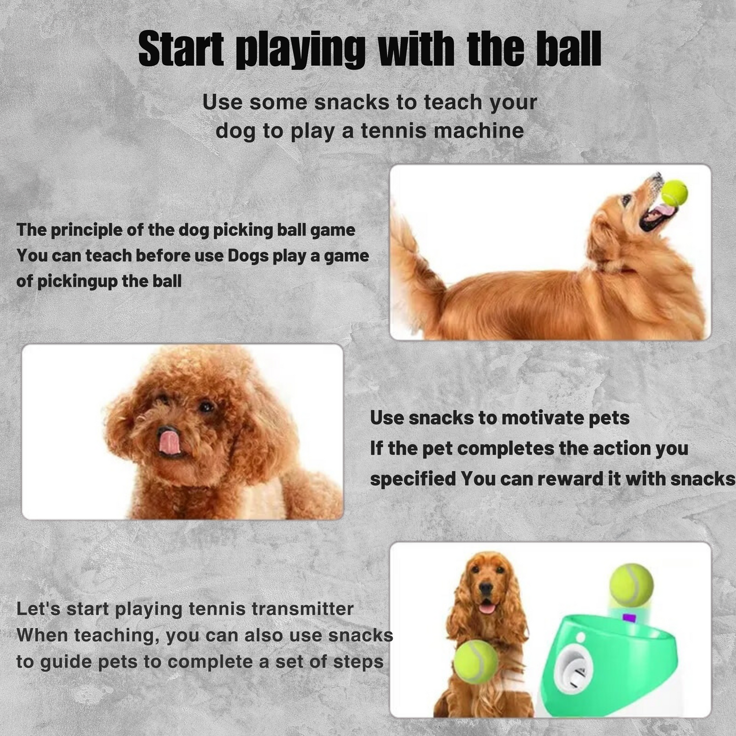 Ball Blaster- Buddy