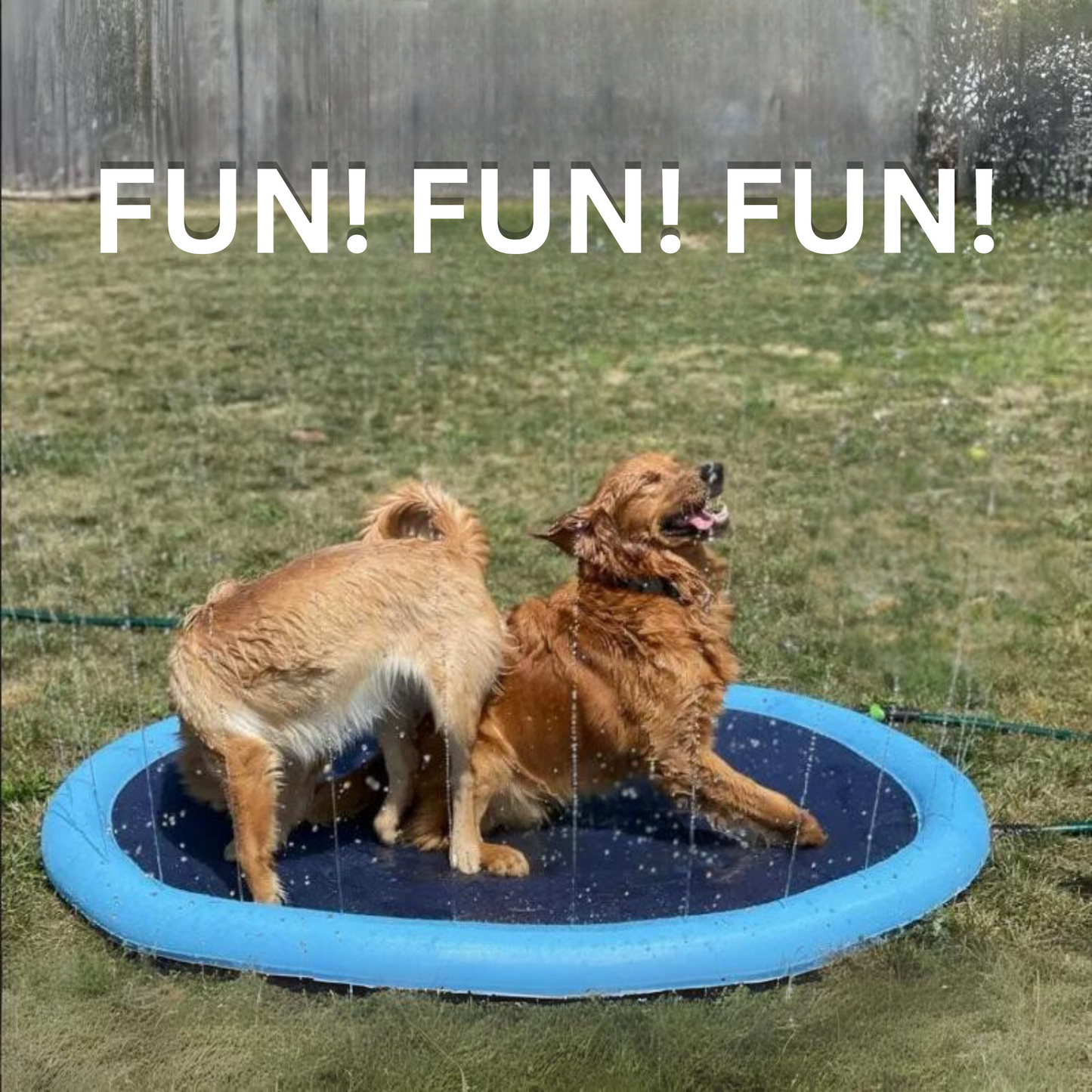 DOGGYDOO- sprinkler for dogs