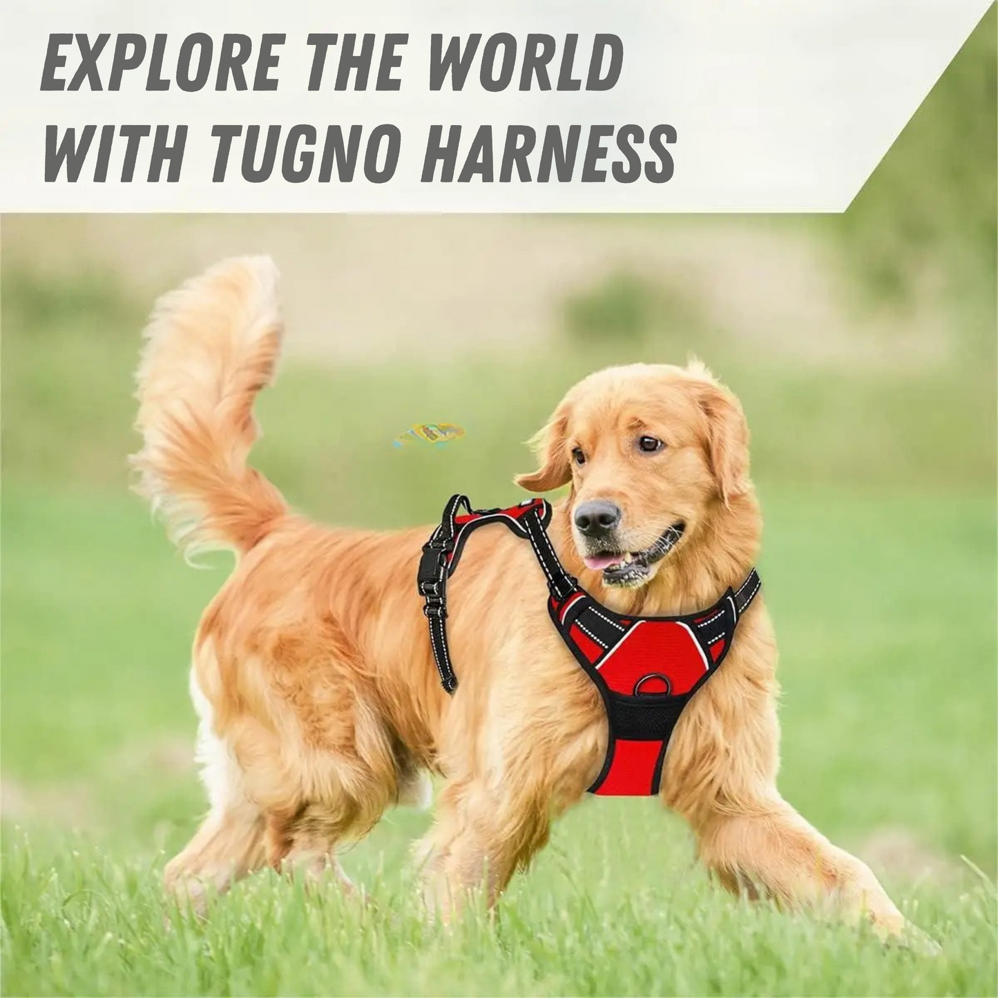 TUGNO™