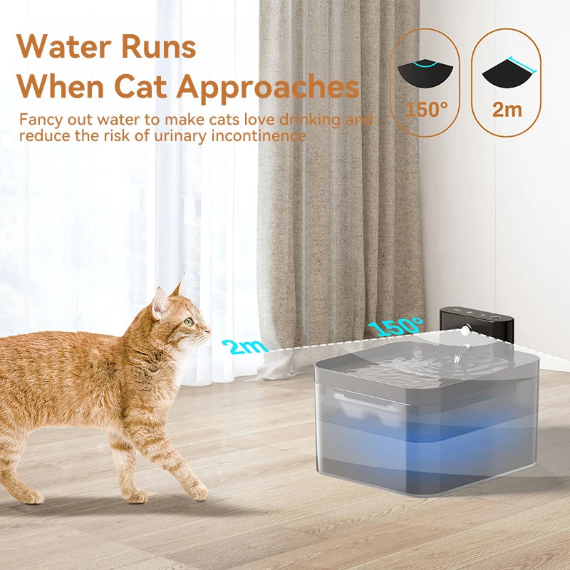 PAWSPRING