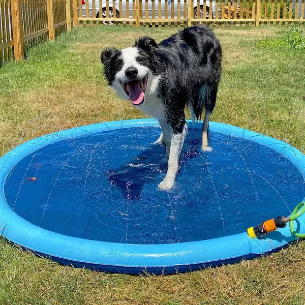 DOGGYDOO- sprinkler for dogs