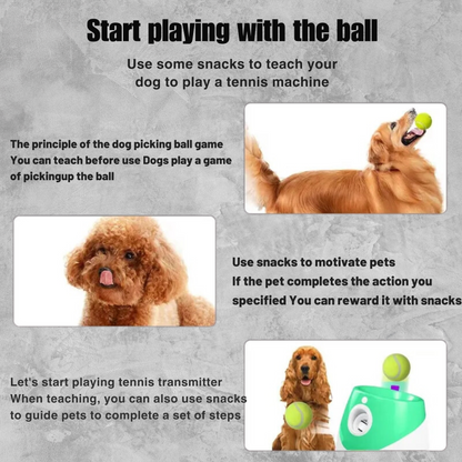 Ball Blaster- Buddy