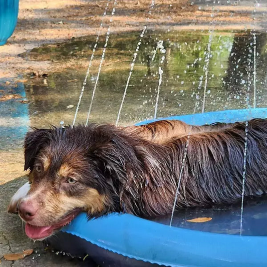 DOGGYDOO- sprinkler for dogs